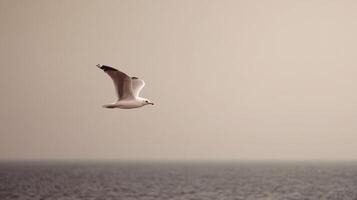 Solitary seagull soaring gracefully over the calm ocean waters at sunset photo