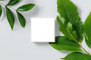 Empty square frame on light background with green leaves for creative display or decoration photo