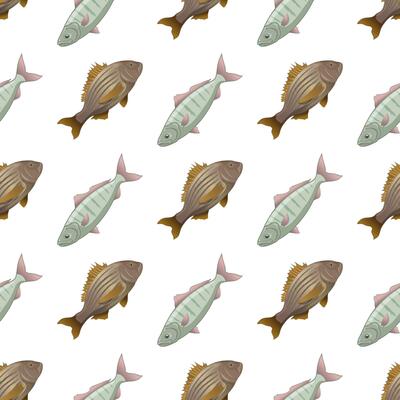 Fish crucian carp seamless pattern, side view