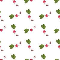 Seamless radish pattern on white background vector