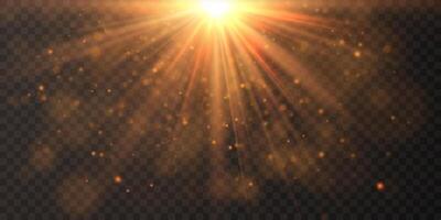 Bright flash effect rays and glare Light light blur effect. vector