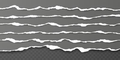 Horizontal torn paper edge. Ripped squared horizontal white paper strips. illustration vector