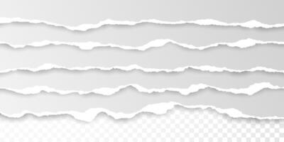 torn paper edge Ripped squared horizontal white paper strips. illustration vector