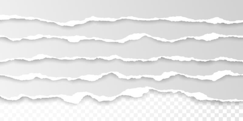 torn paper edge Ripped squared horizontal white paper strips. illustration