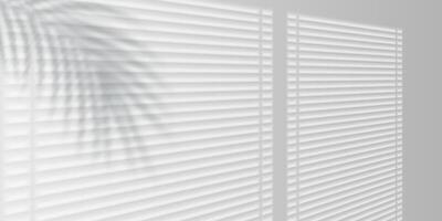 Bright Sunlight Through Window Blinds with Palm Leaf Shadow, Minimal White Interior Background, Relaxed and Fresh Atmosphere for Web, Branding, and Print Projects. Illustration vector