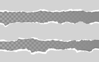 Horizontal torn paper edge. Ripped squared horizontal paper strips. illustration vector