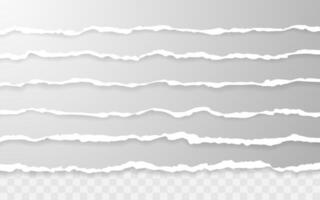 Horizontal torn paper edge Ripped squared horizontal white paper strips. vector