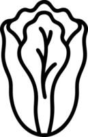 Illustration of a napa cabbage with detailed leaf veins and a thick outline on a white background vector