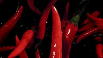 Red chili peppers fly up and fall down. Filmed on a high-speed camera at 1000 fps. High quality FullHD footage video