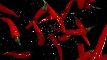 Red chili peppers fly up and fall down. Filmed on a high-speed camera at 1000 fps. High quality FullHD footage video