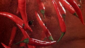Red chili pepper in flight with ground pepper. Filmed on a high-speed camera at 1000 fps. High quality FullHD footage video