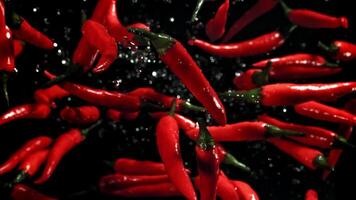 Red chili peppers fly up and fall down. Filmed on a high-speed camera at 1000 fps. High quality FullHD footage video