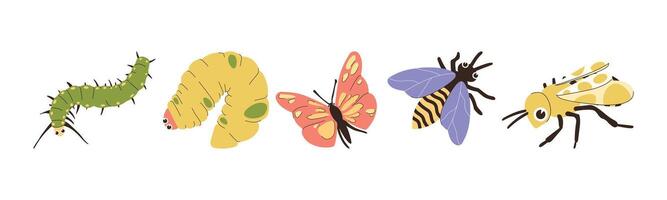 Colorful illustration showcasing different insect forms including caterpillar, pupa, butterfly, bee, and wasp. A visual representation of transformation in nature. vector