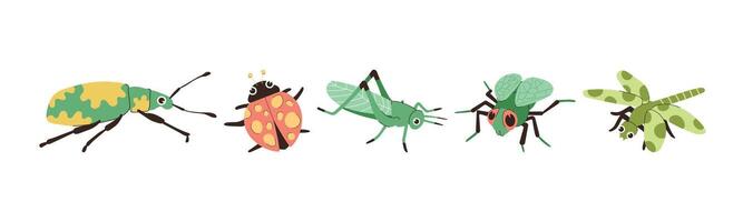 A colorful cartoonish illustration features various insects including a beetle, ladybug, grasshopper, fly and dragonfly, perfect for educational or whimsical designs. vector