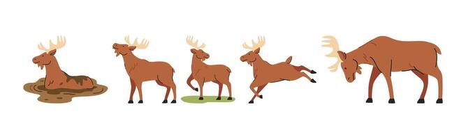 Illustration of various poses of a moose in a cartoon style. Perfect for wildlife, nature, and cartoon-related design projects. vector