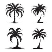 Minimalist tropical palm tree silhouettes in black and white for graphics vector