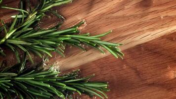 The rosemary falls onto the cutting board. Filmed on a high-speed camera at 1000 fps. High quality FullHD footage video
