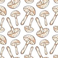 Seamless pattern with Destroying Angel inedible mushroom in cartoon, line art style. For wrapping paper, wallpaper, textiles, background. illustration on a white background. vector