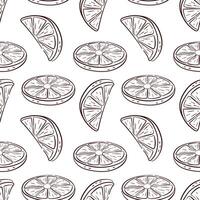 Seamless pattern with line art lemon slice on white background. Perfect for summer food packaging, citrus design or fresh fruit decoration project. vector