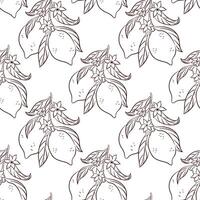 Seamless pattern with line art style lemon, leaf and flower. Perfect for fabric print, packaging, wallpaper, summer design and fresh fruit themed project. vector