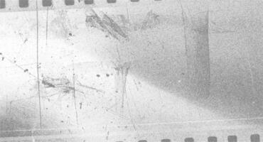 A textured filter reveals the charm of overexposed film, showcasing faded patterns and scratches that evoke memories of bygone photography styles. vector
