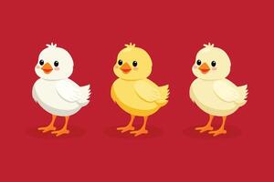 Chicken set flat illustration isolated on red background. vector