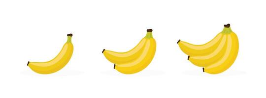 Set of bananas flat illustration isolated on white background. vector
