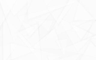 Modern abstract white geometric pattern background grey triangle polygon vector