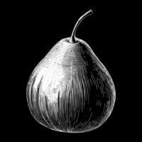 A drawing of a pear with a stem vector