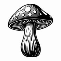 Intricate black and white mushroom illustration with detailed patterns vector