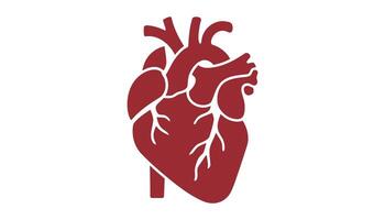 Minimalist Red Heart Icon with Arteries and Veins vector