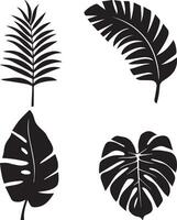 Dynamic tropical leaves illustration vector