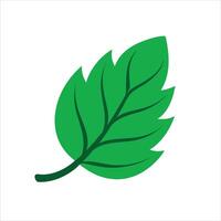 A green leaf icon on a white background vector