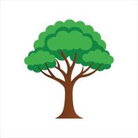 Tree icon illustration vector