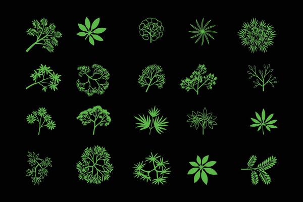Top View Green Tree Set for Garden and Landscape Plans