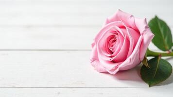 Soft pink roses on white wooden background. The concept of mother's day, birthday, Valentine's day. place for text photo