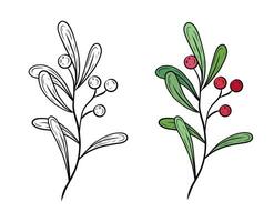 twig with leaves and red berries. Hand drawn illustration of cranberry, viburnum. Christmas botanical illustration, graphic. Black and white and color drawing. Design and decoration vector