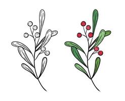 twig with leaves and red berries. Hand drawn illustration of cranberry, viburnum. Christmas botanical illustration, graphic. Black and white and color drawing. Design vector