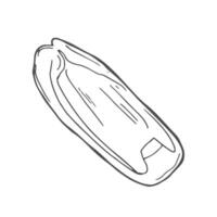 Pepper hand drawn sketch. Vegetable engraved style object. Paprika slices vector