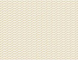 Oriental background in vintage patterns vector