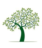 Tree with Leaves. Outline Illustration. vector
