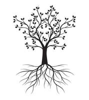 Shape of Tree with Leaves and Roots. Outline Illustration. vector