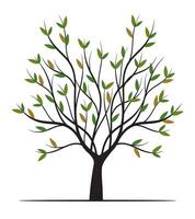Green Tree with Leaves and Roots. outline Illustration. vector