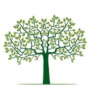 Shape of Tree with Leaves. Outline Illustration. vector