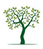 Shape of green Tree with Leaves and Roots. outline Illustration. vector