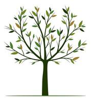 Shape of Tree with Leaves and Roots. vector