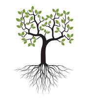 Tree with Leaves and Roots. Outline Drawing. vector