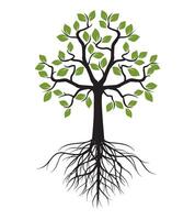 Tree with Leaves and Roots. Outline Illustration. vector