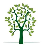Shape of green Tree. Outline Illustration. vector