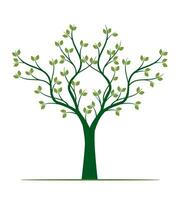 Shape of green Tree with Leaves. outline Illustration. vector